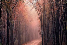 尊龙凯时官方网站：东契奇21+9+14里夫斯30+7+6 湖人轻取马刺两连胜.