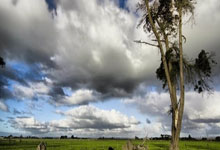 十五运365天365人｜刘诗雯：全运会除了有金牌和掌声，还有奥林匹克精神的诗.