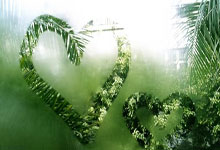 太阳报：拉什福德的劳斯莱斯因爆胎被拖走，驾驶员身份未知.