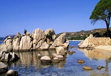 尊龙凯时官方网站：东契奇21+9+14里夫斯30+7+6 湖人轻取马刺两连胜.